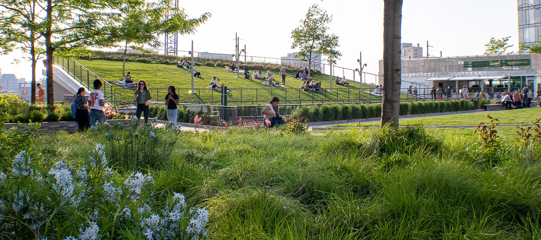 CiraGreen_10_Crop CiraGreen_10_Crop