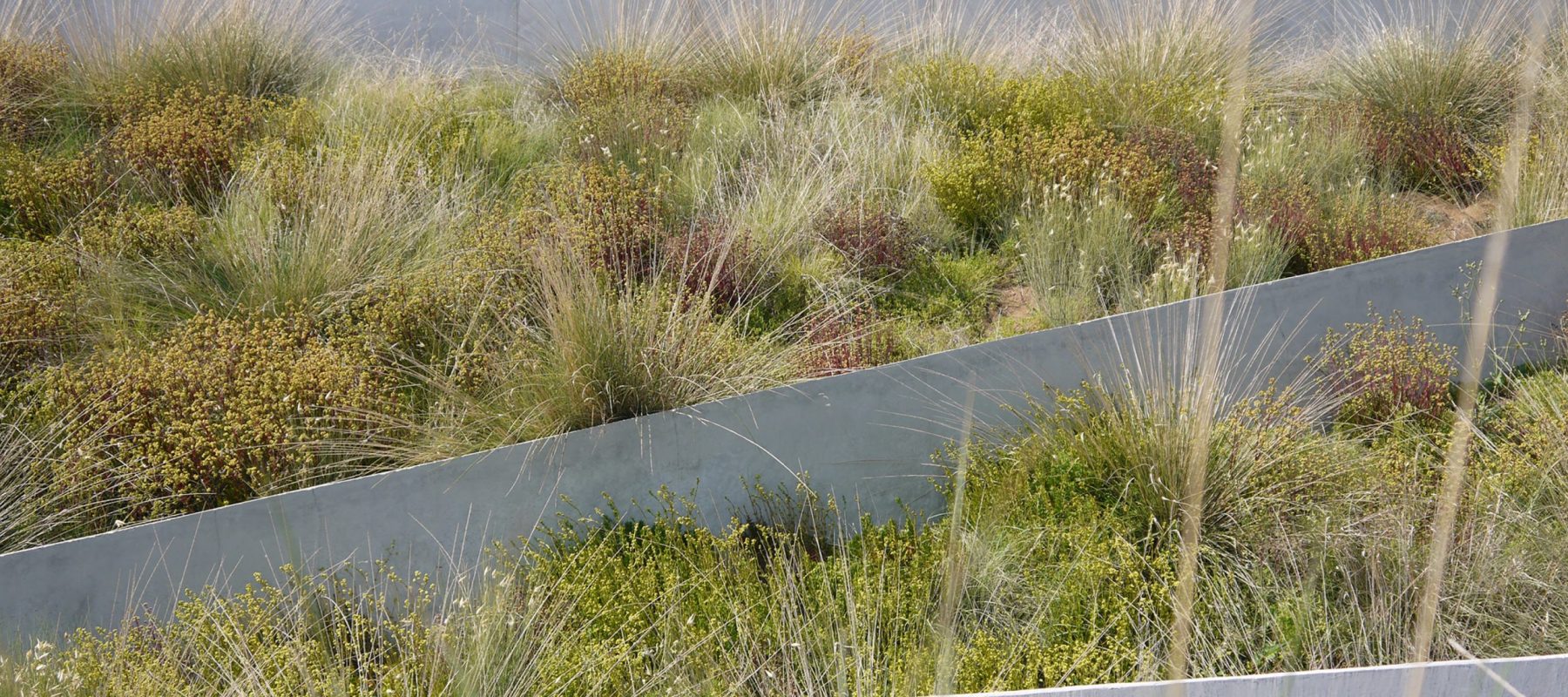 HolocaustMuseumLA_04_Crop HolocaustMuseumLA_04_Crop